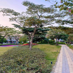 CHO THUÊ NHÀ PHỐ – SHOPHOUSE – BIỆT THỰ GIÁ TỐT TẠI Dragon Village 🐉