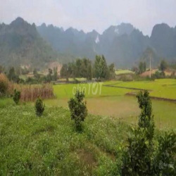 Cho Thuê đất thổ cư Vườn gần UB xã Duy Hòa Thu Bồn Tp Đà Nẵng