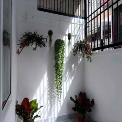 Bán nhà hẻm ôtô , sổ riêng , 65 m2 Đà Lạt - LĐ