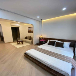 căn hộ dịch vụ full nt mới ngay trung tâm q7