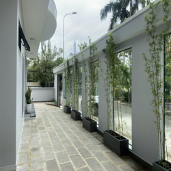 🏢 CHO THUÊ BIỆT THỰ NGUYỄN ĐÌNH KHƠI * 15X25M * TRỆT 2 LẦU 💯