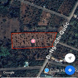 Cho thuê nhà và đất nông nghiệp