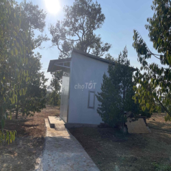 Cho thuê nhà và đất nông nghiệp