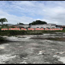 🔥 CHO THUÊ ĐẤT TRỐNG – MẶT BẰNG ĐẸP, DỄ KINH DOANH 🔥