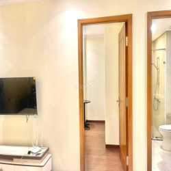 Cho thuê cǎn hộ 1 PN và 1 WC với nội thất cao cấp