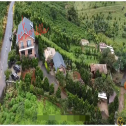 Cho thuê hoặc hợp tác kinh doanh đất 2Mặt Tiền kế KsSenVilla P2Bảo Lộc