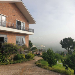 Cho thuê hoặc hợp tác kinh doanh đất 2Mặt Tiền kế KsSenVilla P2Bảo Lộc