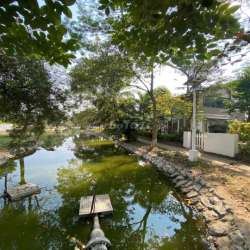 🏡 CC cần cho thuê Khu biệt thự sinh thái Viglacera Hoàn Sơn 💥