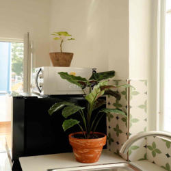 💥💥DUPLEX SIÊU RỘNG CÓ BANCOL NGAY TRUNG TÂM THÀNH PHỐ