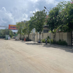 Cho thuê biệt thự, có hồ bơi.