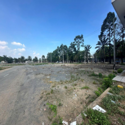 Cho thuê 19.000m2 đất làm bãi xe , văn phòng, QL1A Bình Tân, 20k/m2