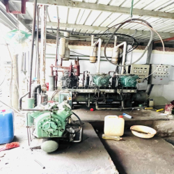 Xưởng + kho lạnh 2000m2