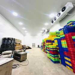 Xưởng + kho lạnh 2000m2