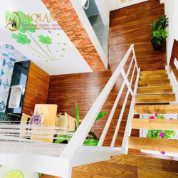 Sang 21P 21WC Có Thang Máy 13Th Hoàn Vốn HXH Tô Hiến Thành Q10