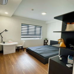 CHỈ 9TR, CHO THUÊ 2PN Q7 RIVERSIDE FULL ĐẸP, CHỦ NHÀ DỄ THƯƠNG