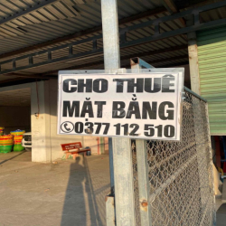 cho thuê mb gần cây bả đậu