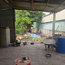 Nhà mặt tiền hẻm xe hơi.