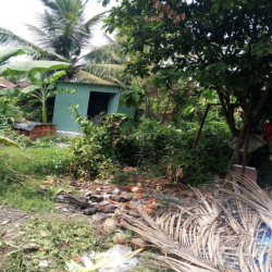 Nhà mặt tiền hẻm xe hơi.