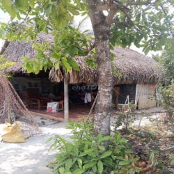 Nhà mặt tiền hẻm xe hơi.