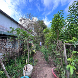 Cho thuê ĐẤT + NHÀ Ở + PHÒNG TRỌ ở Nhà Bè - KCX Tân Thuận - Q7