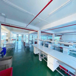 CHO THUÊ TÒA NHÀ VĂN PHÒNG QUY MÔ LỚN – PHÙ HỢP TRỤ SỞ CÔNG TY, TRUNG