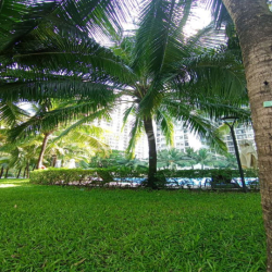PHÒNG ĐẸP TRONG CĂN HỘ GIÁ RẺ