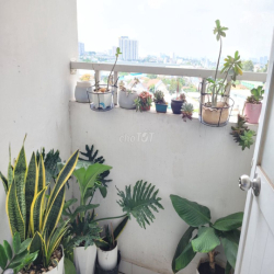 Cho thuê căn 1 PN - Chung cư Lotus ngay cầu vượt sóng thần