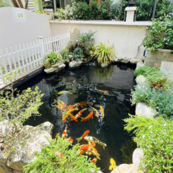 Biệt thự đơn lập Mỹ Văn 300m2, có hồ cá koi, nội thất cực đẹp, ở liền