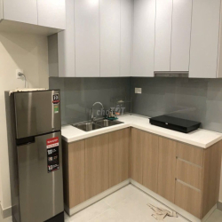 Cần cho thuê căn hộ chung cư Diamond Lotus, 3PN, full nội thất