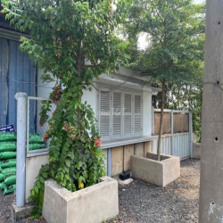 Cho thuê kho mặt tiền tỉnh lộ 8 củ chi