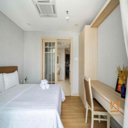 Căn hộ 1PN full nội thất ban công cửa sổ thoáng Trần Khánh Dư Quận 1