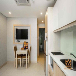 Căn hộ 1PN full nội thất ban công cửa sổ thoáng Trần Khánh Dư Quận 1