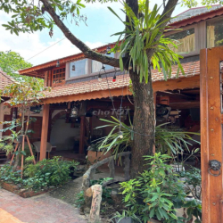 CHO THUÊ BIỆT THỰ 200M2 CÓ 3PN