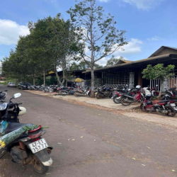 cho thuê đất diện tích lớn
