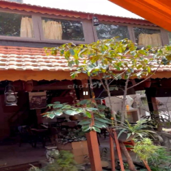 CHO THUÊ BIỆT THỰ 200M2 CÓ 3PN