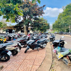 cho thuê đất diện tích lớn