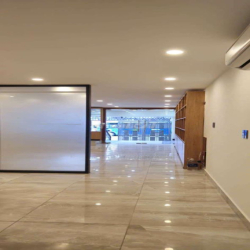 Nhà phố kinh doanh đường 65 Tân Quy Đông, Phường Tân Phong, quận 7