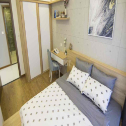 Cho Thuê Căn Hộ 2PN 85m2 Feliz En Vista Quận 2