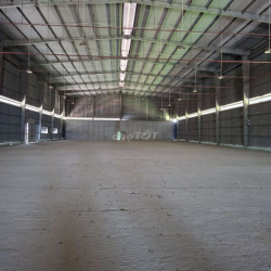 Cho Thuê Kho Xưởng 360, 500 và 1000m2 Nhà Bè