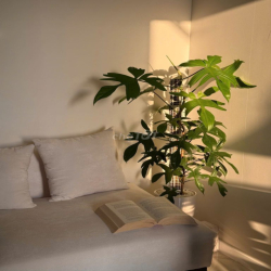 Cho thuê The Privia, Studio sẵn nội thất cơ bản (NHÀ MỚI, VIEW THOÁNG)