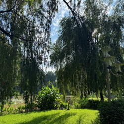 Cho thuê gấp nhà liền kề The Glen Celadon City 5PN 7WC Gía 30tr/ tháng