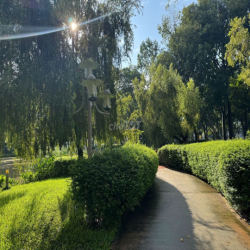 Cho thuê gấp nhà liền kề The Glen Celadon City 5PN 7WC Gía 30tr/ tháng