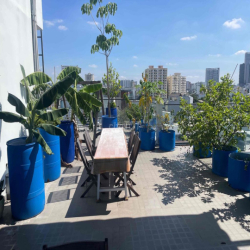 Cho nữ thuê phòng trọ cao cấp, có hồ bơi.