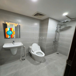 Cho thuê căn hộ Officetel 46m2 EverRich Infinity An Dương Vương