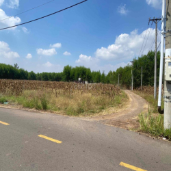 Cho thuê 250m2 nền hoặc 1,3ha đất, làm kho, nhà, xưởng- ô tô tới đất