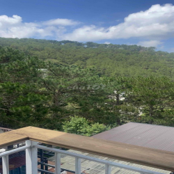 CẦN CHO THUÊ NHÀ VIEW RỪNG THÔNG ĐƯỜNG HÙNG VƯƠNG