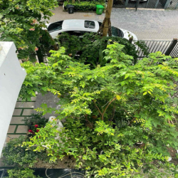 cần cho thuê nhà nguyên căn full nội thất đẹp khu nhà phố Đảo Mizuki