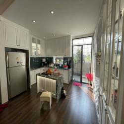 cần cho thuê nhà nguyên căn full nội thất đẹp khu nhà phố Đảo Mizuki