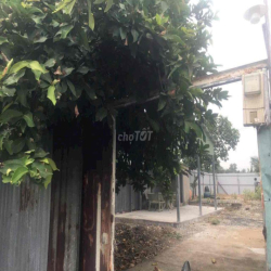 cho thuê đất hẻm 480// Bình Quới, Phường Bình Quới