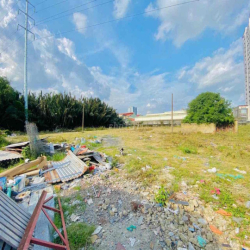 CHO THUÊ ĐẤT TRỐNG 1000M2 GẦN TRUNG TÂM LOTTE MARRT Q7